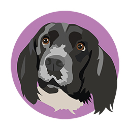 Monty's Dog Grooming Services