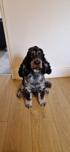 Photo from customer review